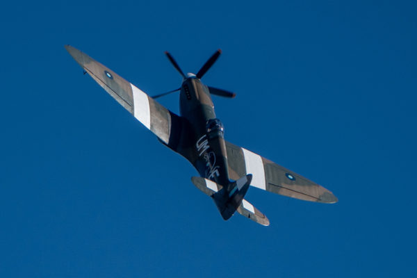 Spitfire